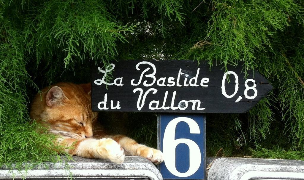Saumane-de-Vaucluse La Bastide Du Vallon 게스트하우스 외부 사진