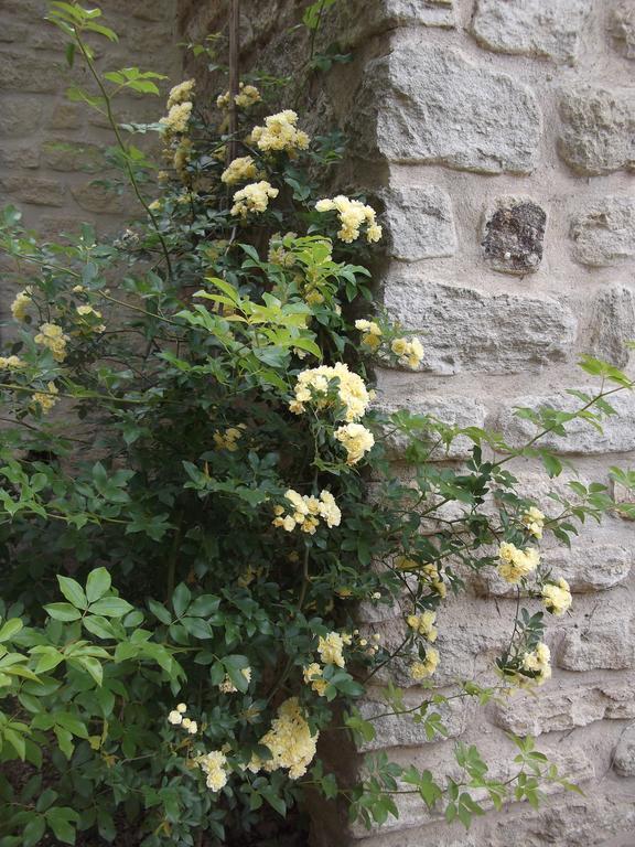 Saumane-de-Vaucluse La Bastide Du Vallon 게스트하우스 외부 사진