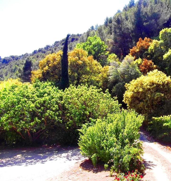 Saumane-de-Vaucluse La Bastide Du Vallon 게스트하우스 외부 사진